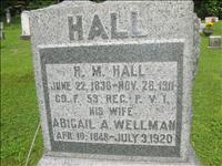 Hall, R. M. and Abigail A. (Wellman)